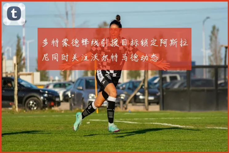 多特蒙德锋线引援目标锁定阿斯拉尼同时关注沃尔特马德动态