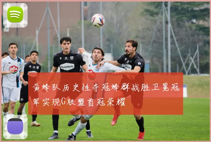 黄蜂队历史性夺冠蜂群战胜卫冕冠军实现G联盟首冠荣耀